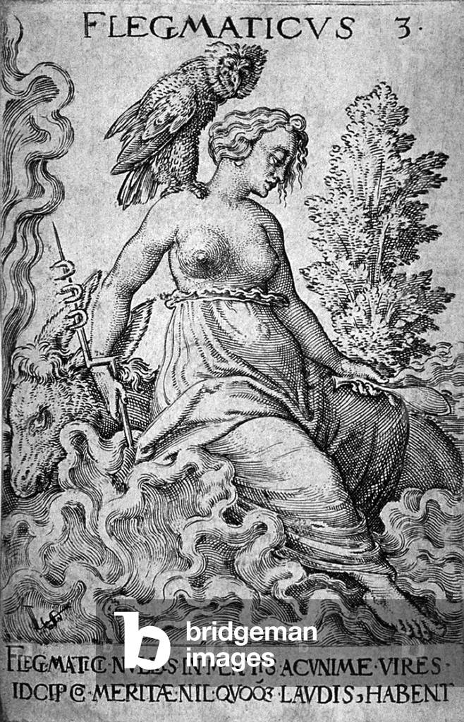 Le flegmatique: The Phlegmatic personality was calm and thought to be caused by the dominance of the humor phlegm. It is personified by a bare-breasted young woman, with an owl on her shoulder, while she sits on a ram's back at water's edge, with the waves crashing about her. She holds a short staff and a ladle. Engraving by Virgil Solis (German, 1514-1562).