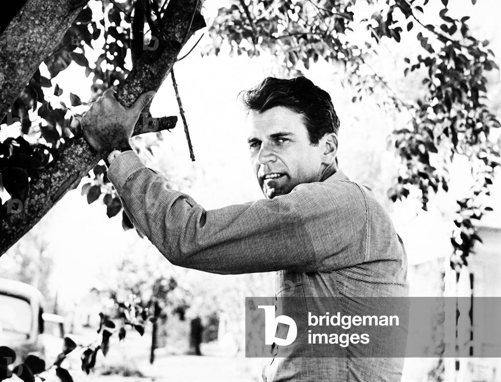 Baby the Rain Must Fall by Robert Mulligan, 1965