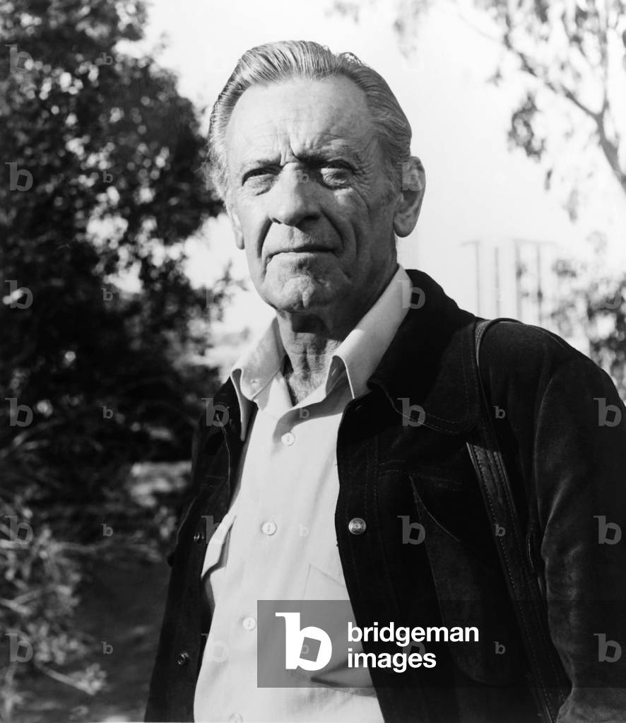 The Earthling by Peter Collinson, 1980