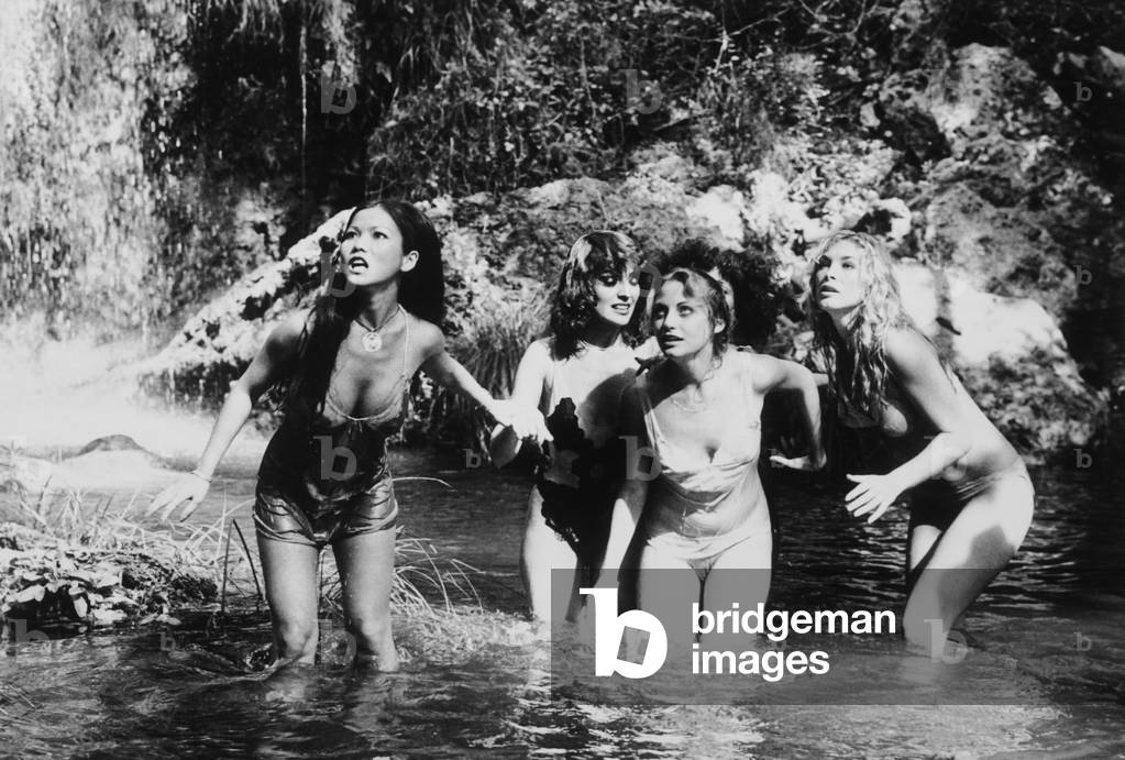 Angel's Brigade by Greydon Clark, 1979