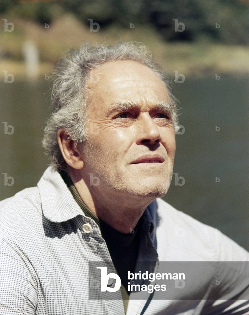 Sometimes a Great Notion by Paul Newman, 1971