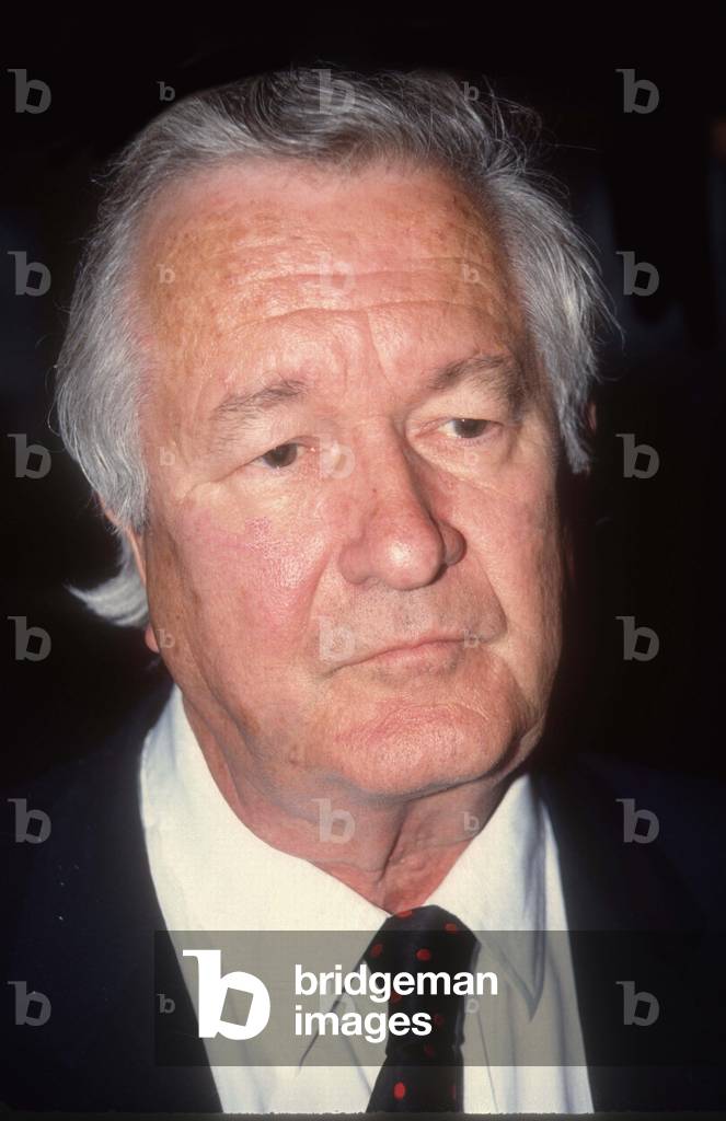 William Styron, 1989 (photo)