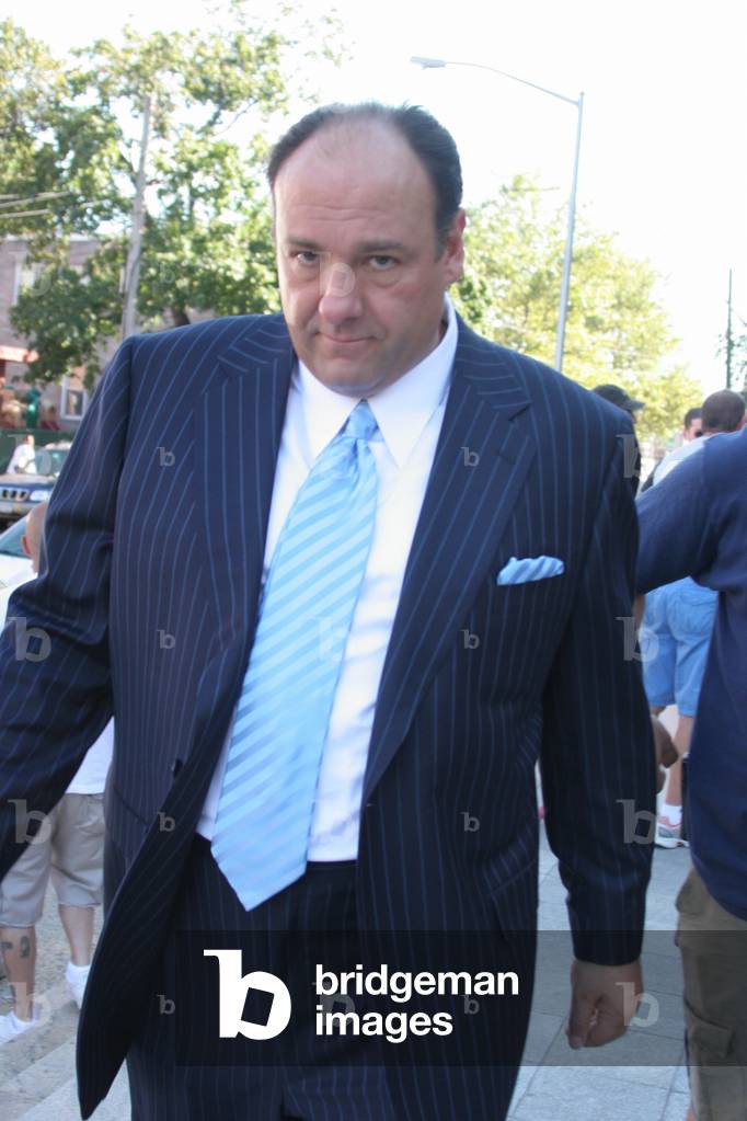 James Gandolfini, 2006 (photo)
