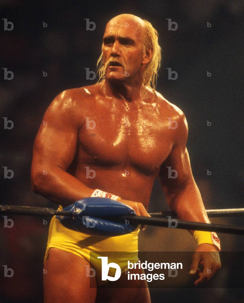 Hulk Hogan, 1995 (photo)