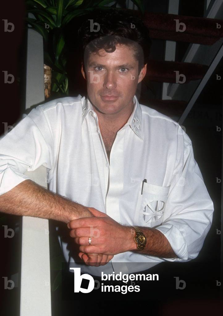David Hasselhoff, 1991 (photo)