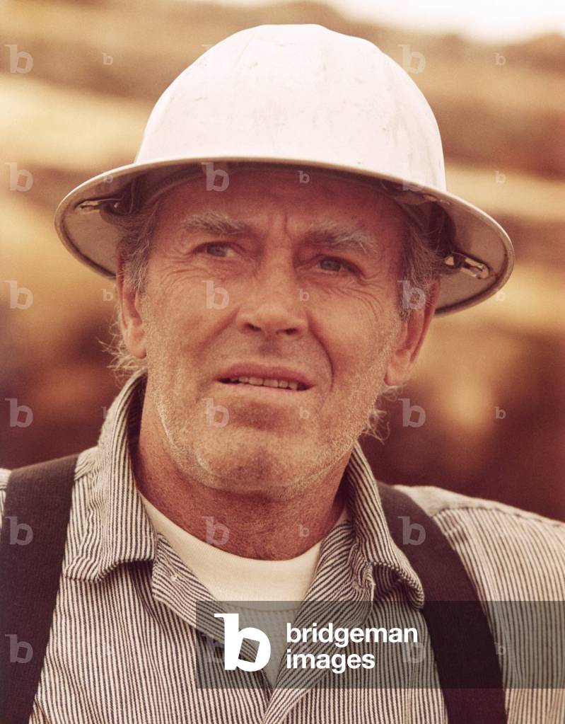 Sometimes a Great Notion by Paul Newman, 1971