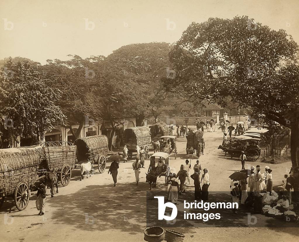 Indian road amongst the trees with carts and people