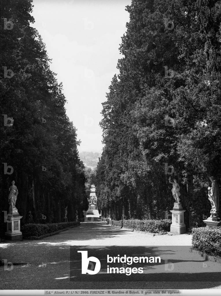 Perspective view of the cypress-lined in the Boboli Gardens, Florence