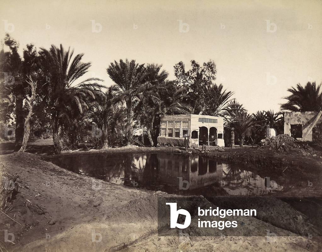 A souvenir of Odoardo Beccari's journeys: the fountain of Moses, near the Suez Canal