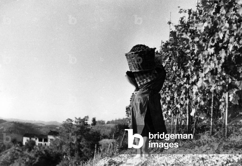 Europe, Italy, Piedmont, asti, vintage, 1920 1930