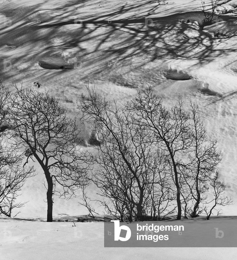Snowy mountain landscape
