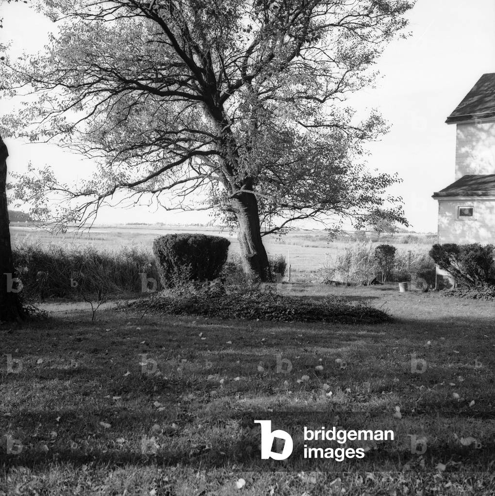 View country of Long Island (b/w photo)