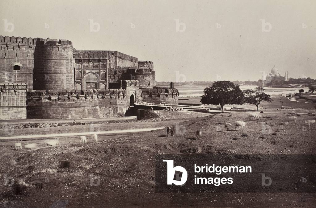 A souvenir of Odoardo Beccari's journeys: view of the walls of Delhi, India; the Taj Mahal can be seen in the distance