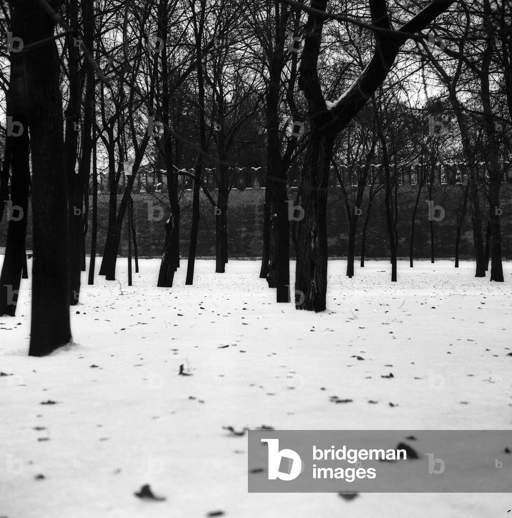 Snowy garden in Zagorsk (b/w photo)