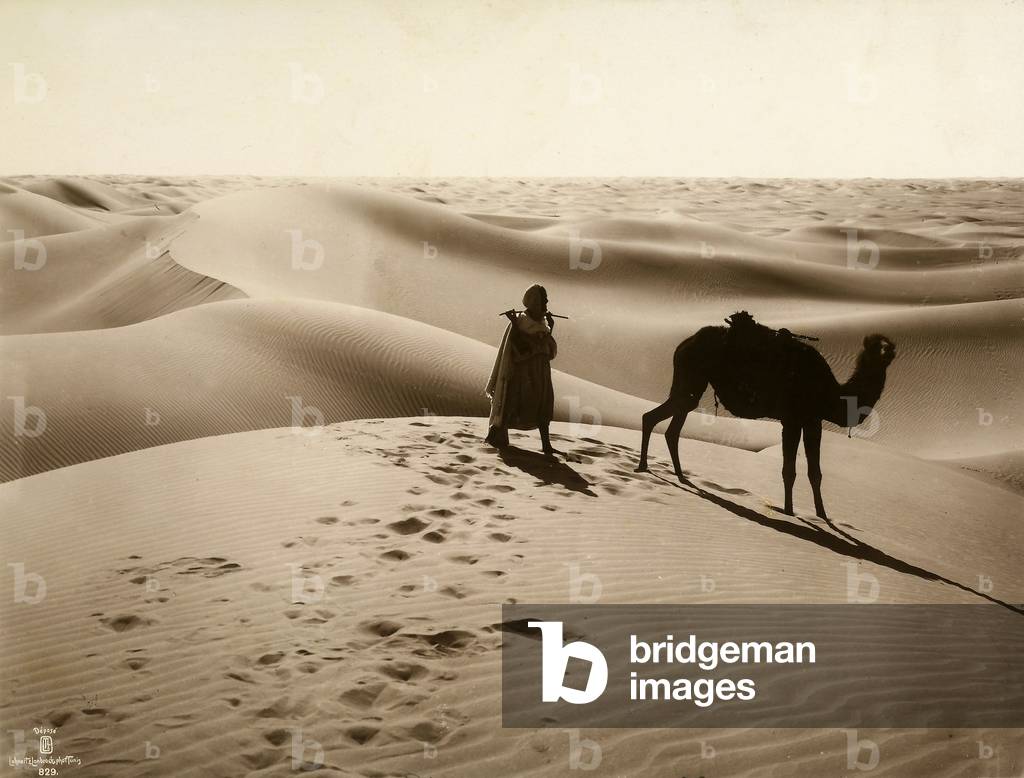 Bedouin and camel amidst the Tunisian desert dunes, 1900-1910 (photomechanic print)