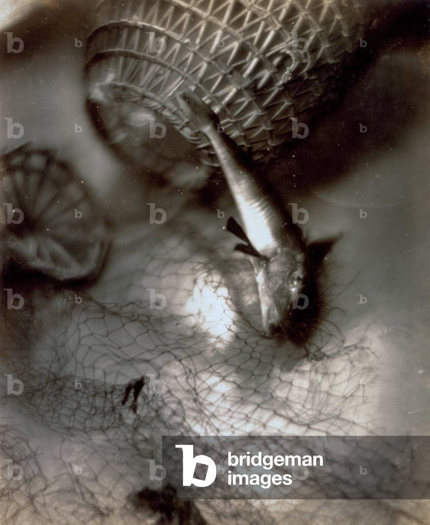 Pictorialist still life with fish and nets