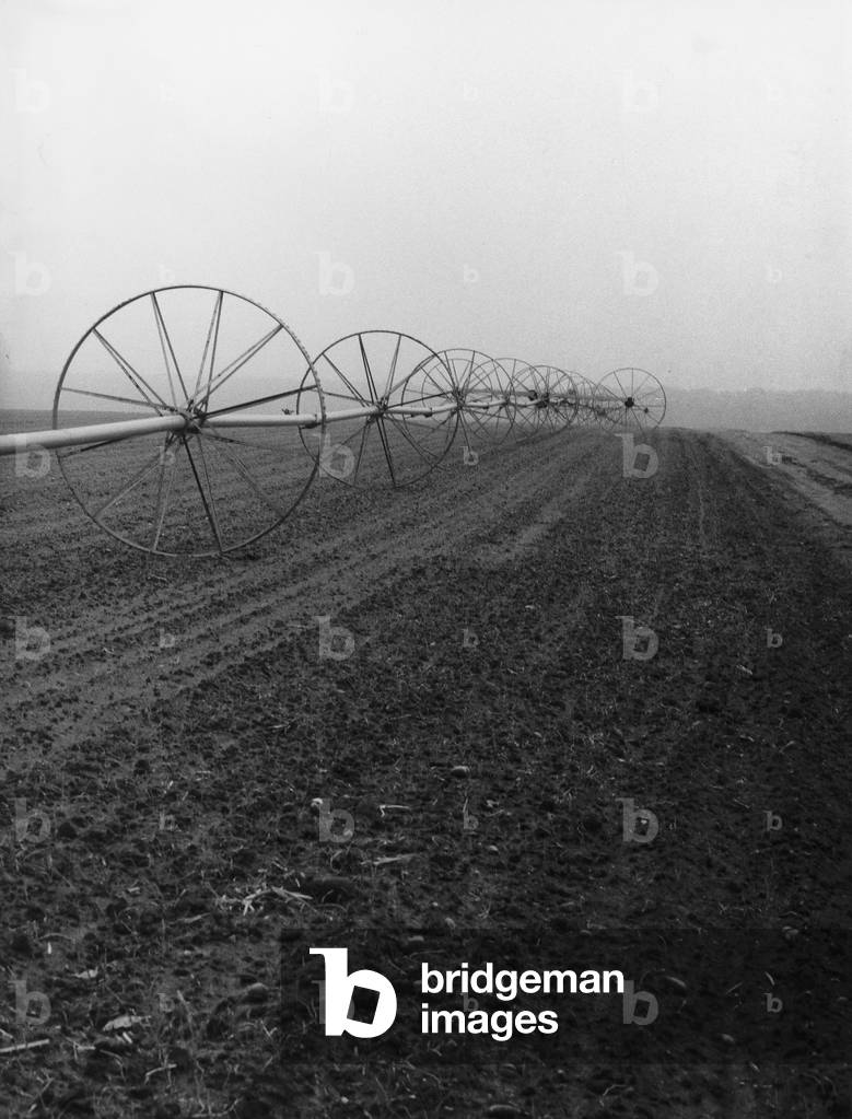 Agricultural land with irrigation system on wheels in Long Island (b/w photo)