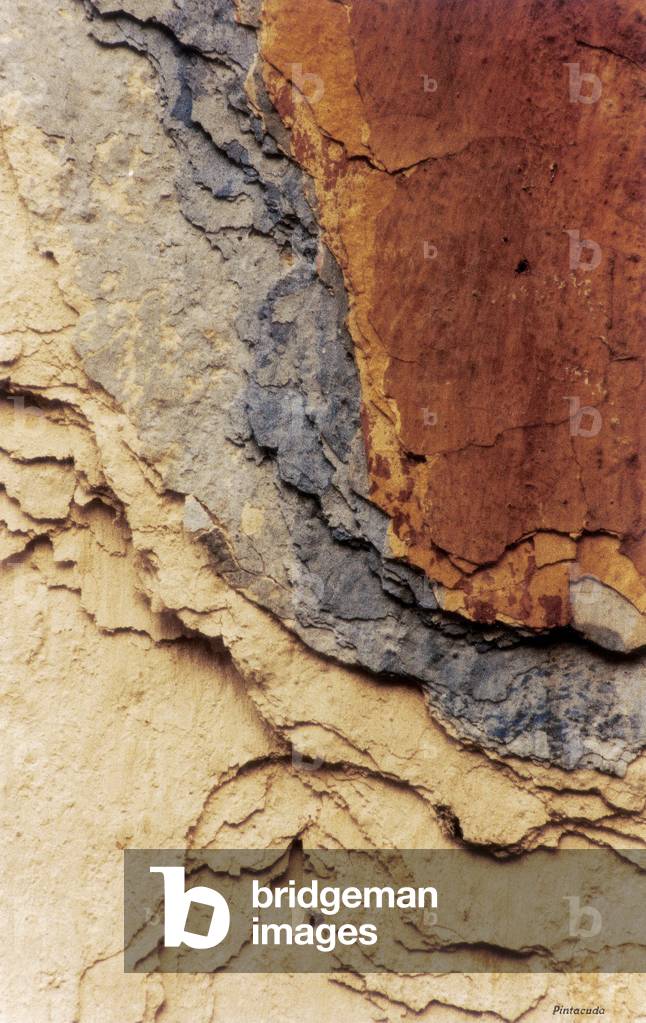 Plaster layers (photo)