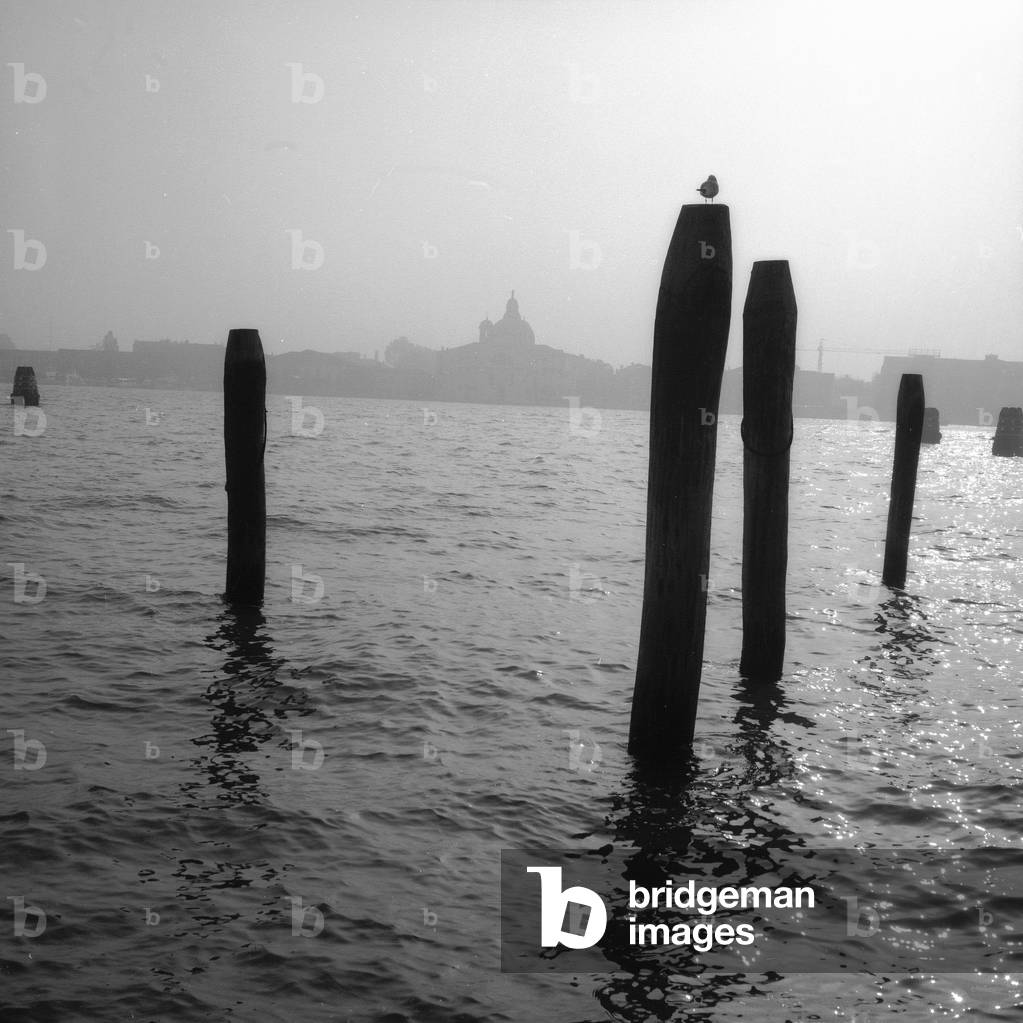 View of Venice from the fog (b/w photo)