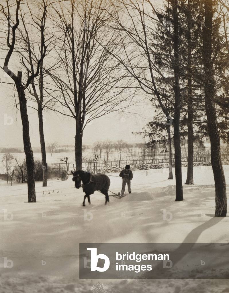 Skier pulled by a horse, 1903-1904 (print on double-weight paper)