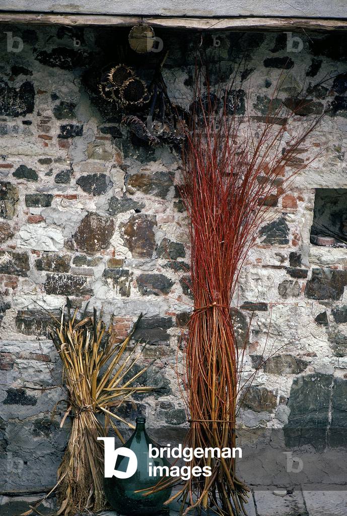 Sheaves of wicker at the Colle Bereto farm in Chianti, Italy (photo)