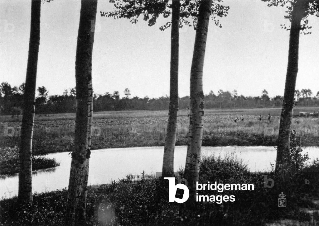 The impressive Royal Park of Racconigi (Italy). In the foreground, rows of slender trees along a small pool