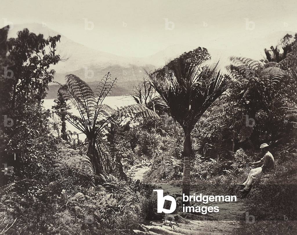 A souvenir of Odoardo Beccari's journeys: the 