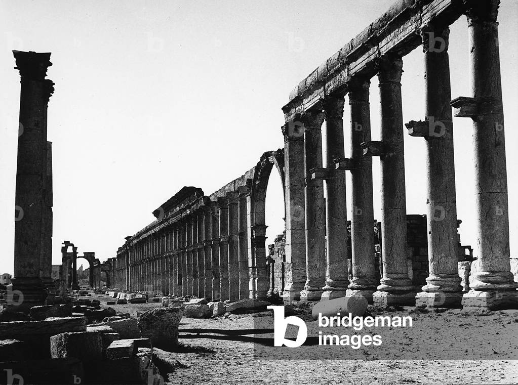 View of the Great Colonnade of Palmyra, in Syria