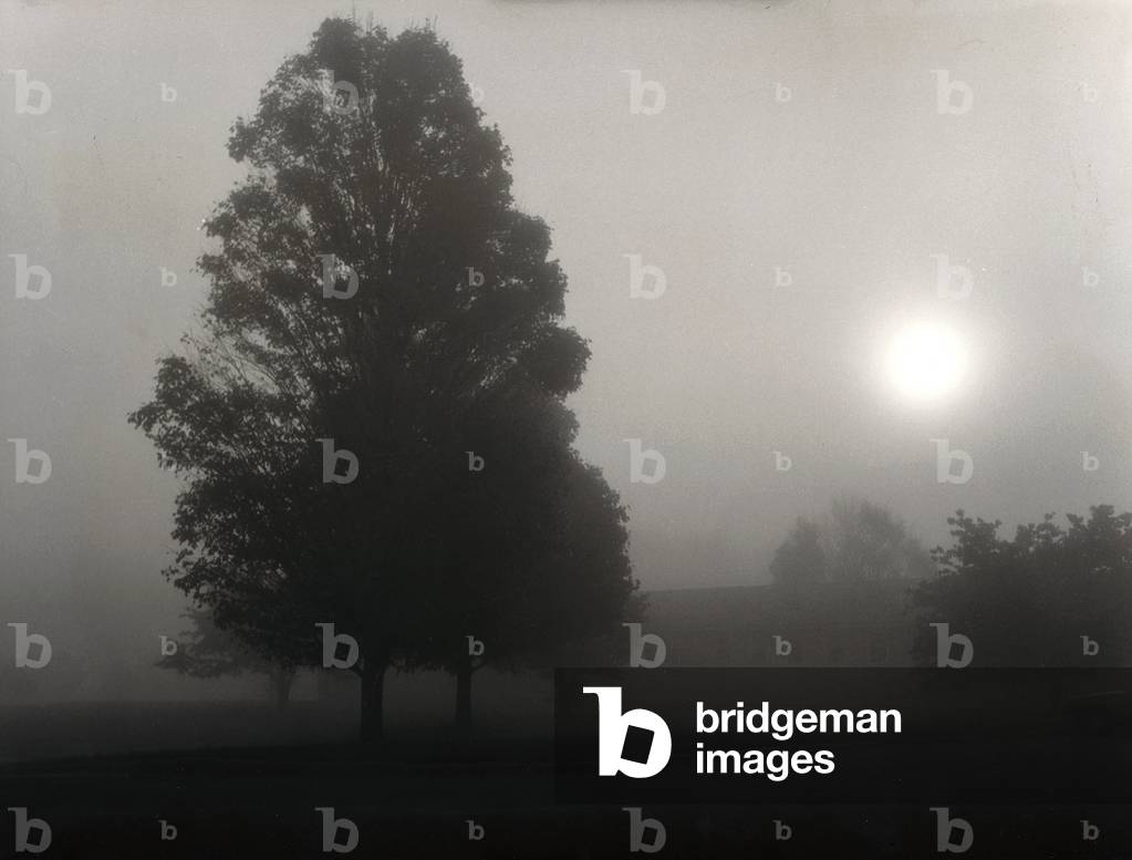 Full moon in an autumn night in Long Island (b/w photo)