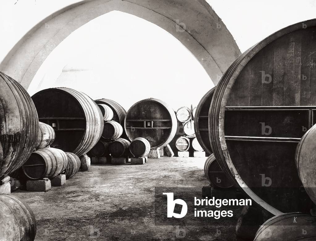 Cellar with cognac barrels
