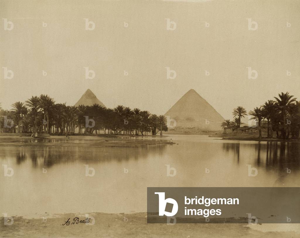 The Nile valley inundated with water from the river, with a palm and the pyramids of Cheops and Chefren in the background