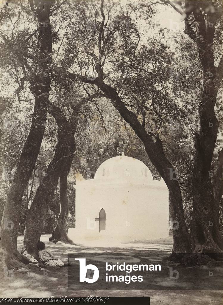Muslim tomb in the sacred forest of Blida