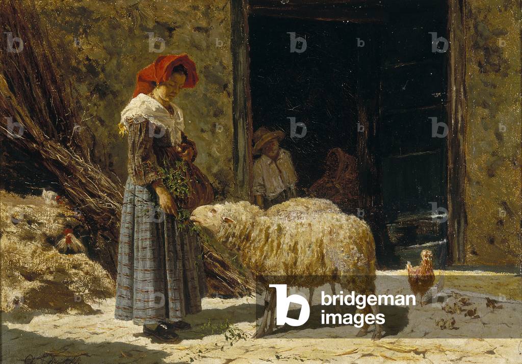 Little girl with sheep