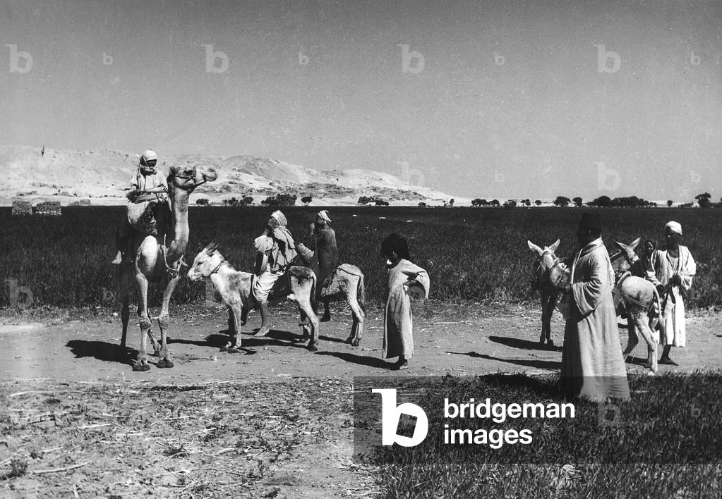Group of Bedouin with some donkeys and a camel, Egypt
