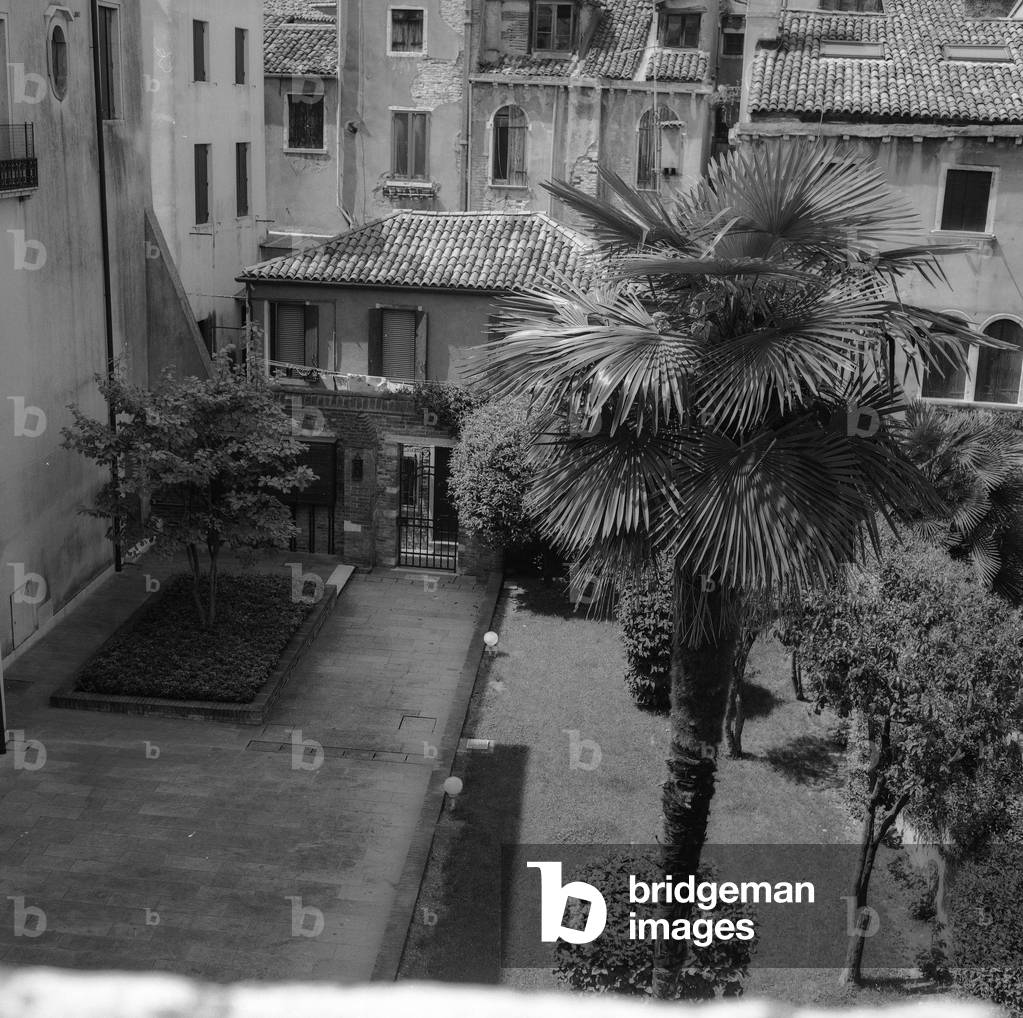 Garden in the historic center of Venice (b/w photo)