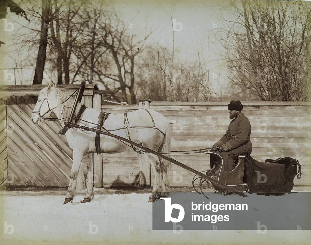 Man wearing a bearskin photographed in a horse-drawn sleigh