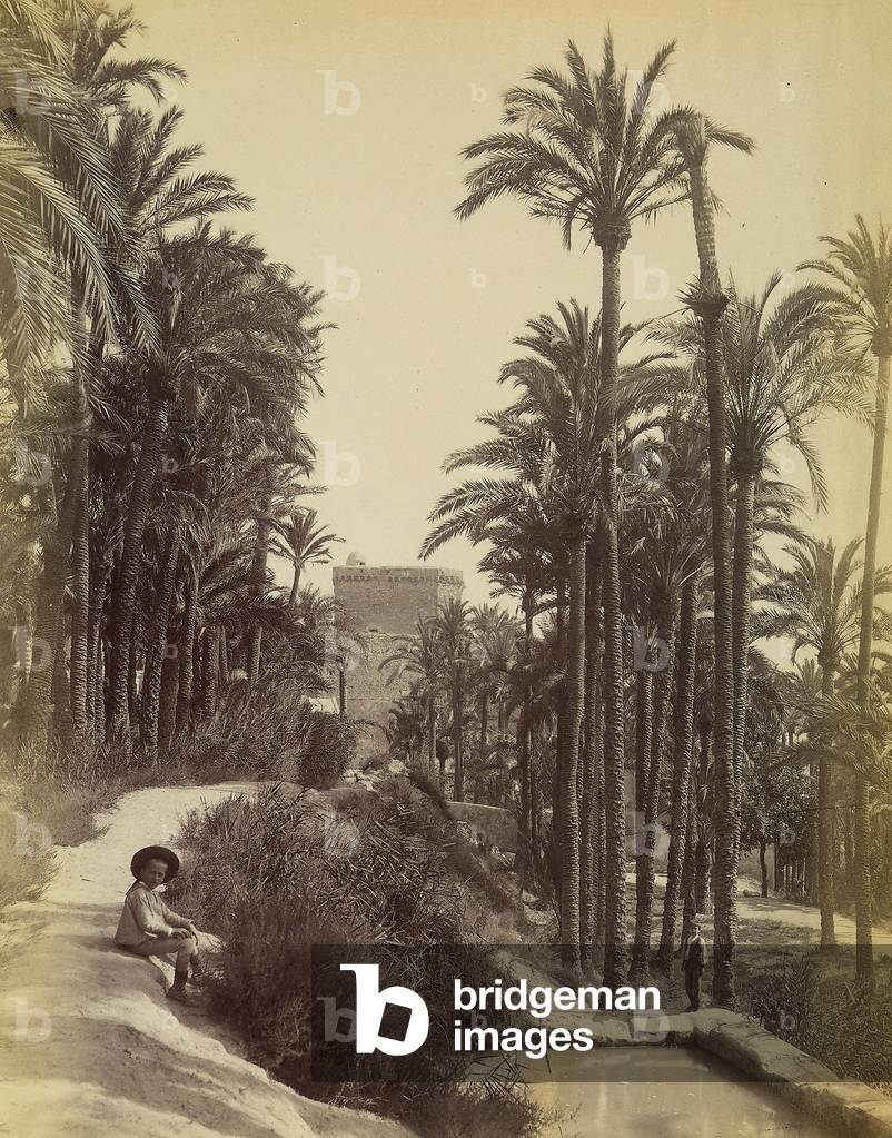A child sitting in a garden with palm trees at Elche, Spain.