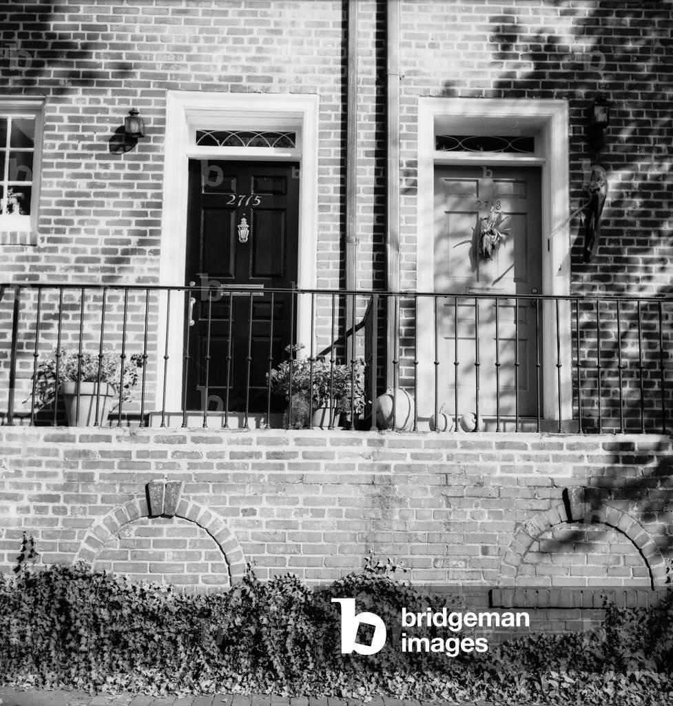 Entrance doors of houses in Washington, D.C. (b/w photo)
