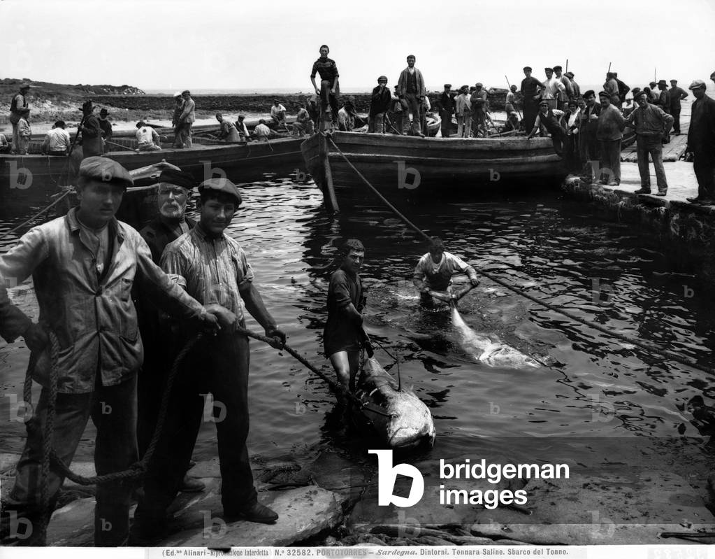 Fishermen fishing for tuna, called tunny fishing, along Porto Torres.