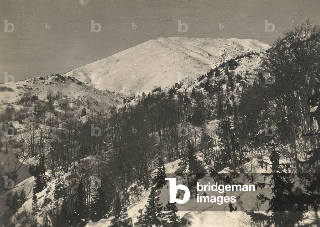 First World War: View of Mount Krasji near Kobarid