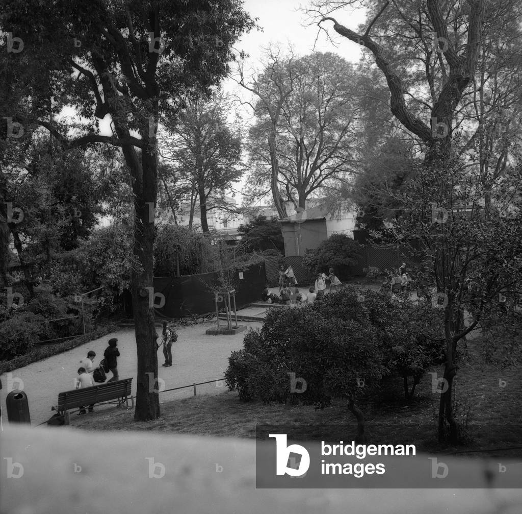 Public garden in Venice (b/w photo)