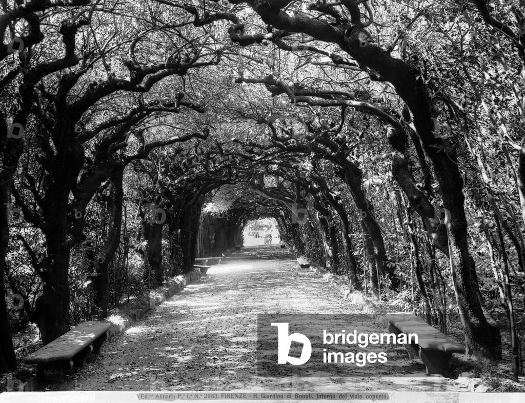 Perspective view of the road covered, Boboli Gardens, Florence