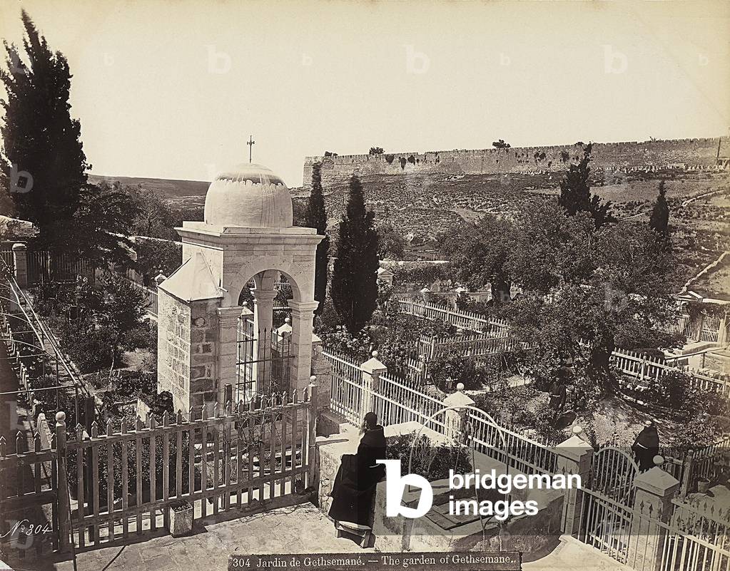 View of the garden of Gethsemane or the Olive Orchard, in which, according to tradition, Christ passed the last days of his life