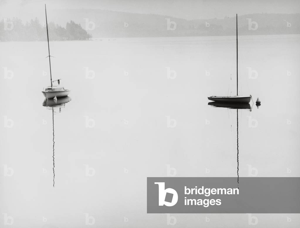 'Deux verticales' (photo)