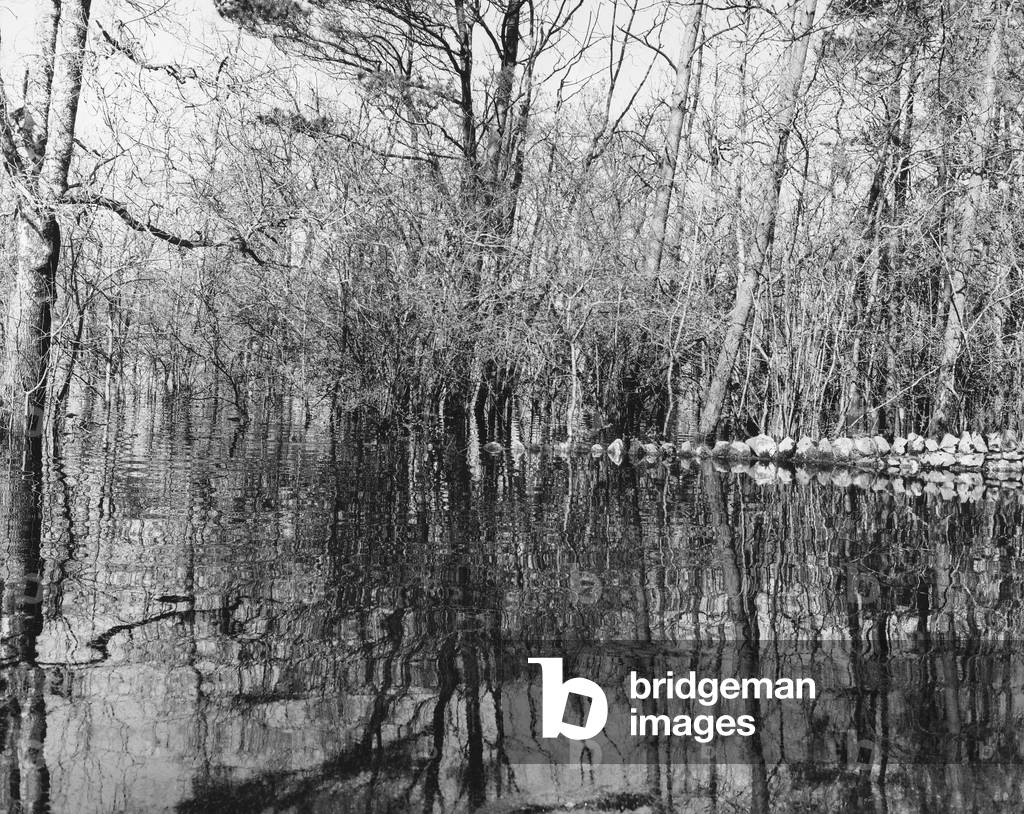 The lake of Coole Park (b/w photo)
