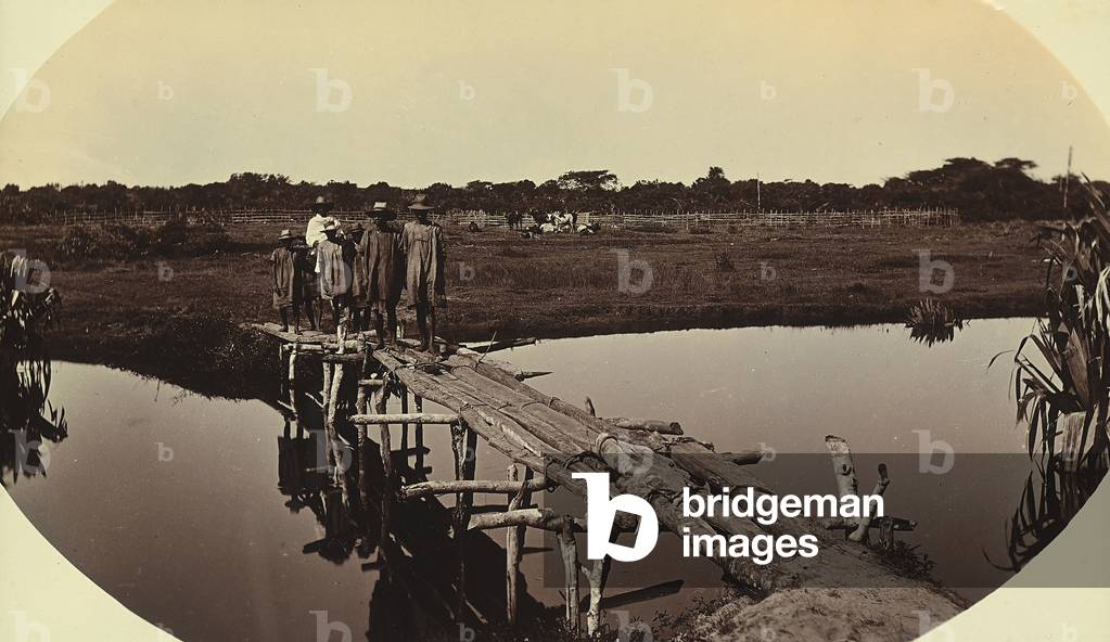Rudimental bridge in Madagascar, 1900 (print on double-weight paper)