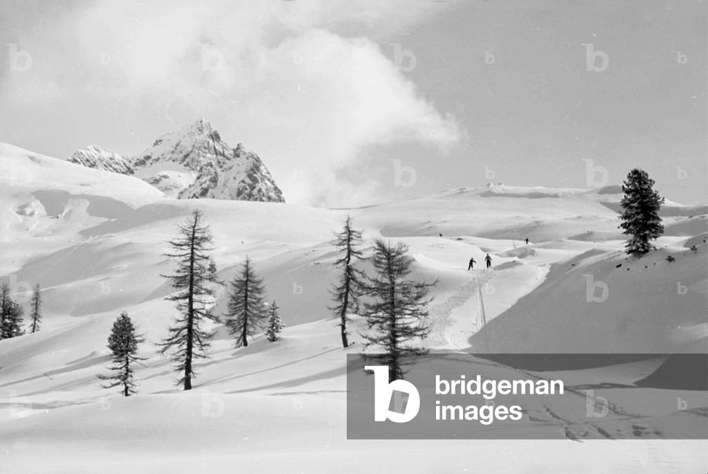 Snowy mountain landscape with trees, Cortina d'Ampezzo