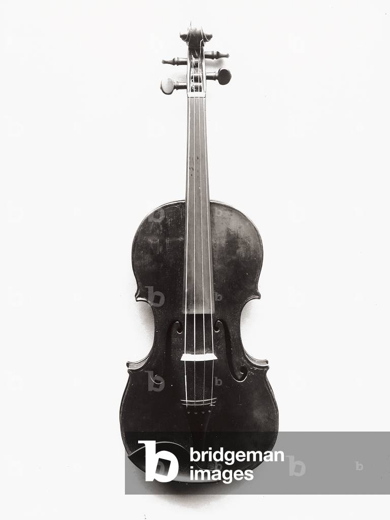 Violin