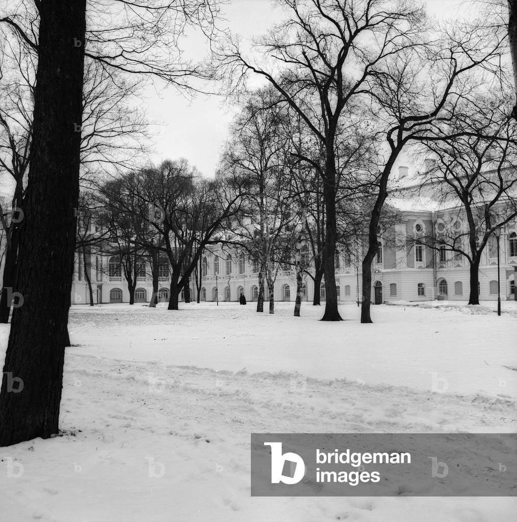 Snowy garden in St. Petersburg (b/w photo)