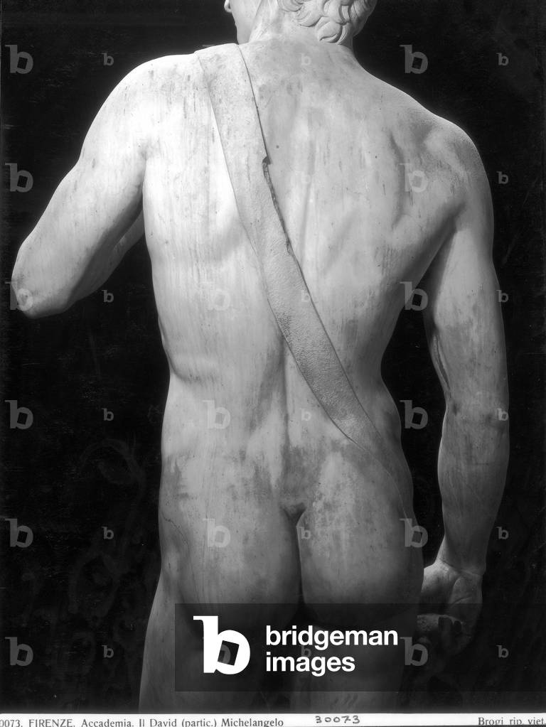 David, detail of the back